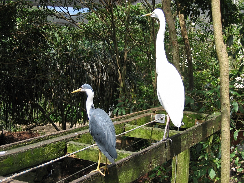100 Port Douglas Wildlife Habitat.jpg